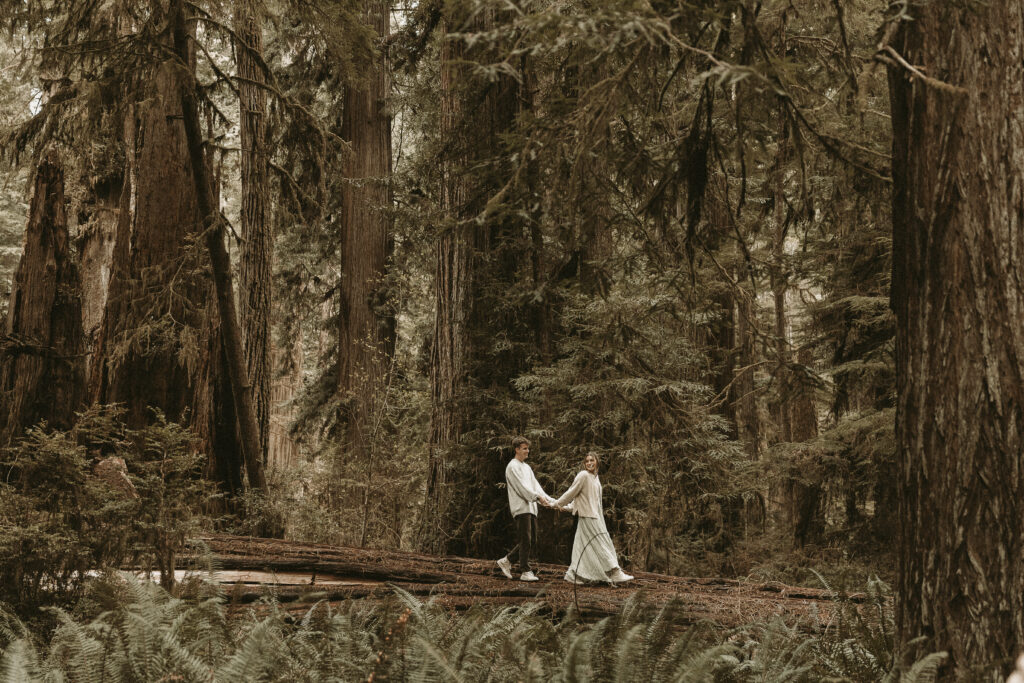 Couple explores the lush Redwoods Forest hand-in-hand with Abby Ree Photography.