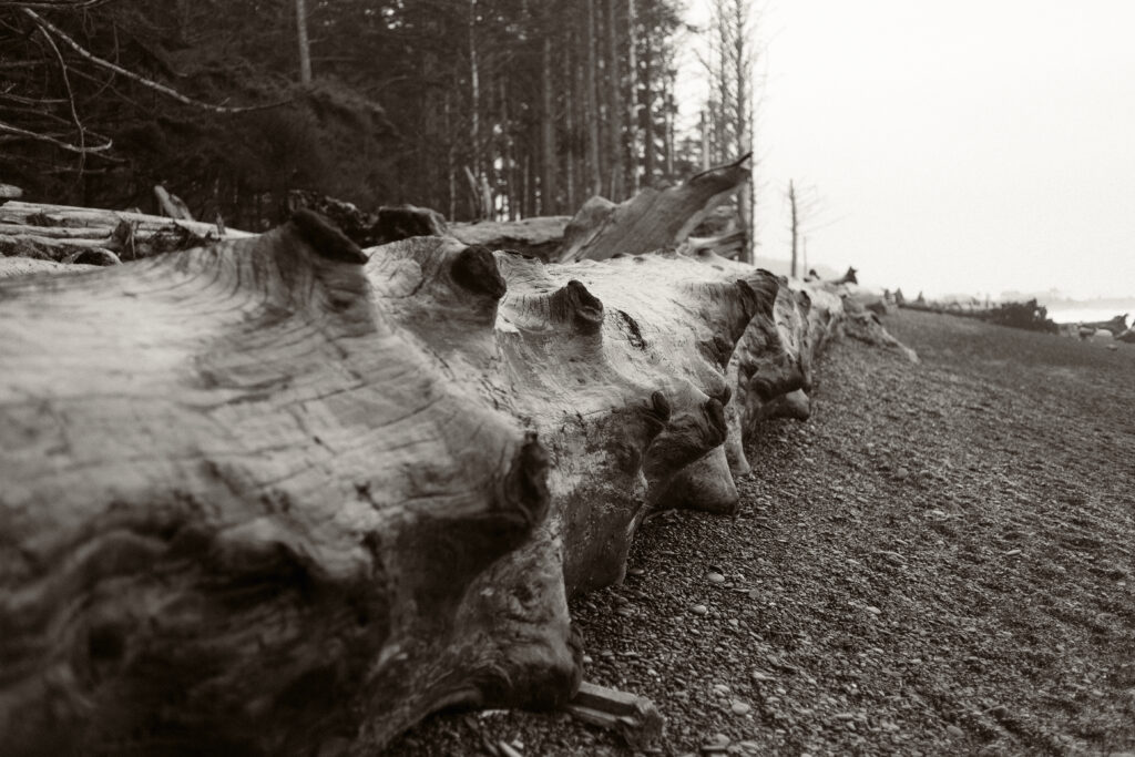 Olympic National Park, WA