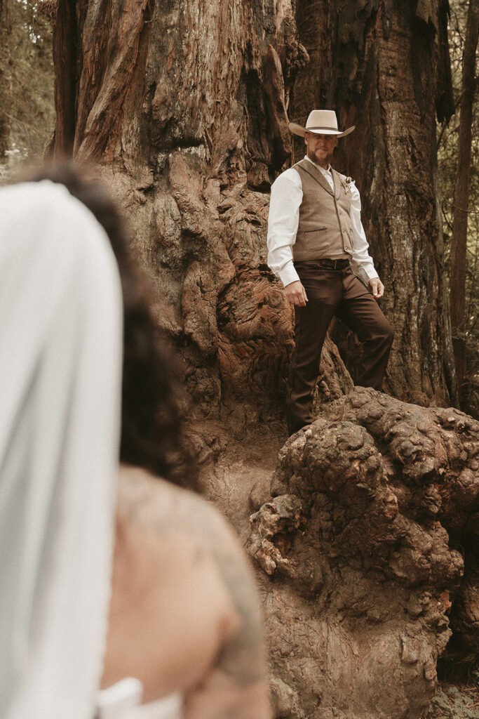 Jace and Danika's Redwoods elopement.