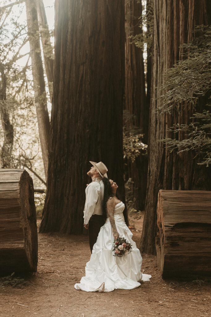 Jace and Danika's Redwoods elopement.