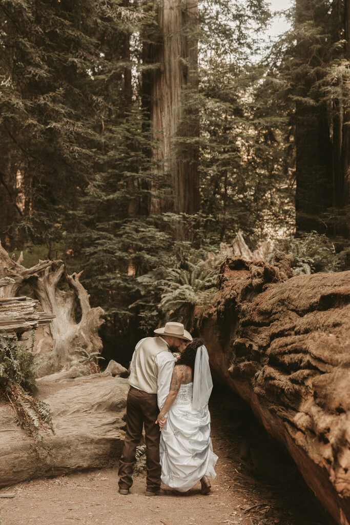 Jace and Danika's Redwoods elopement.